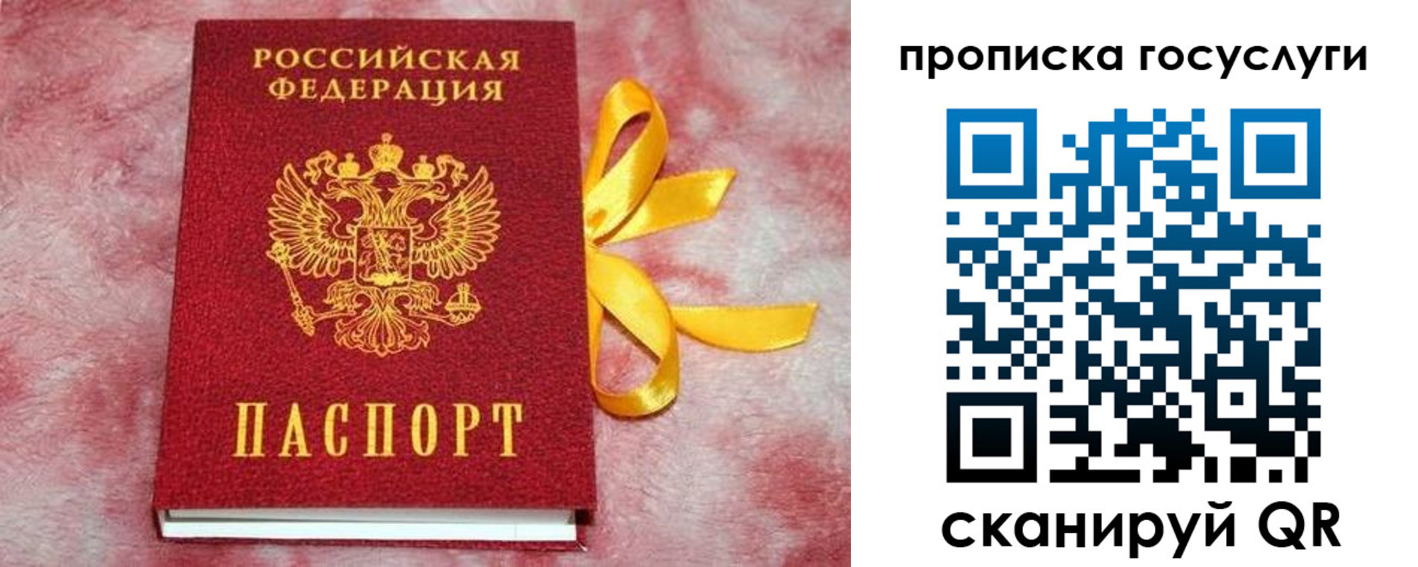 прописка законно в Дорогобуже